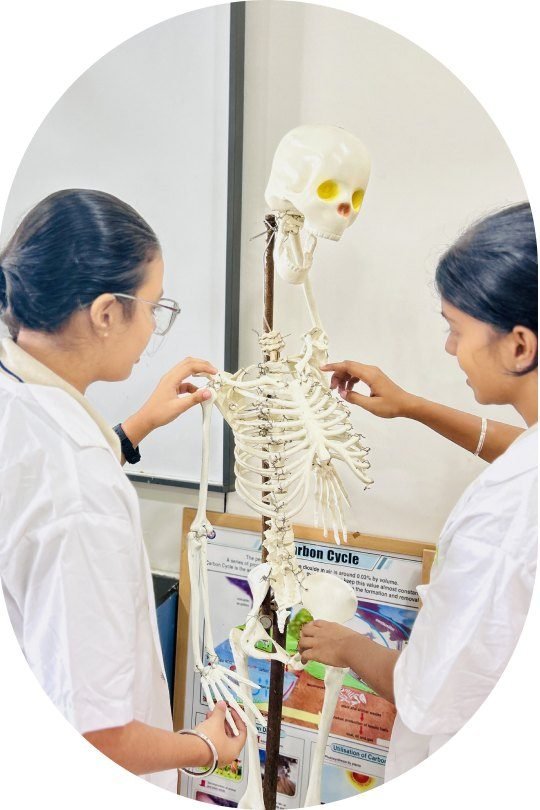 Senior students studying a human skeleton in the biology lab